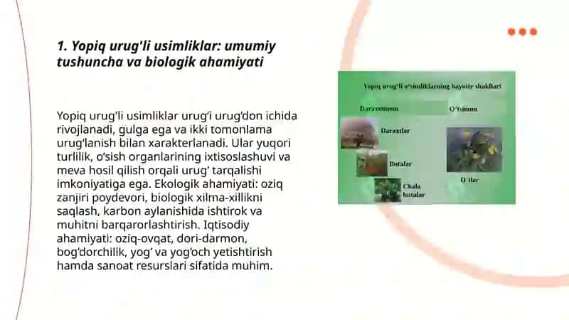 Yopiq urug'li usimliklar tasnifi, gul tuzilishi va topgullar 3