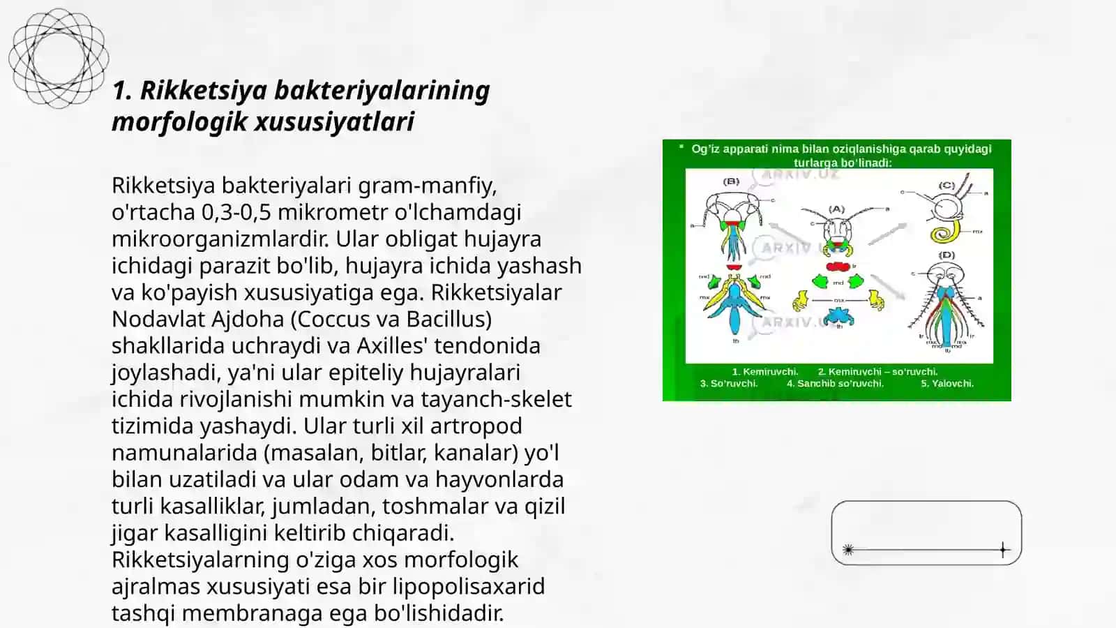 Rikketsiozlar morfologiyasi strukturasi, tarqalganligi keltirib chiqaruvchi kasallik labaratoriya diagnostikasi 3