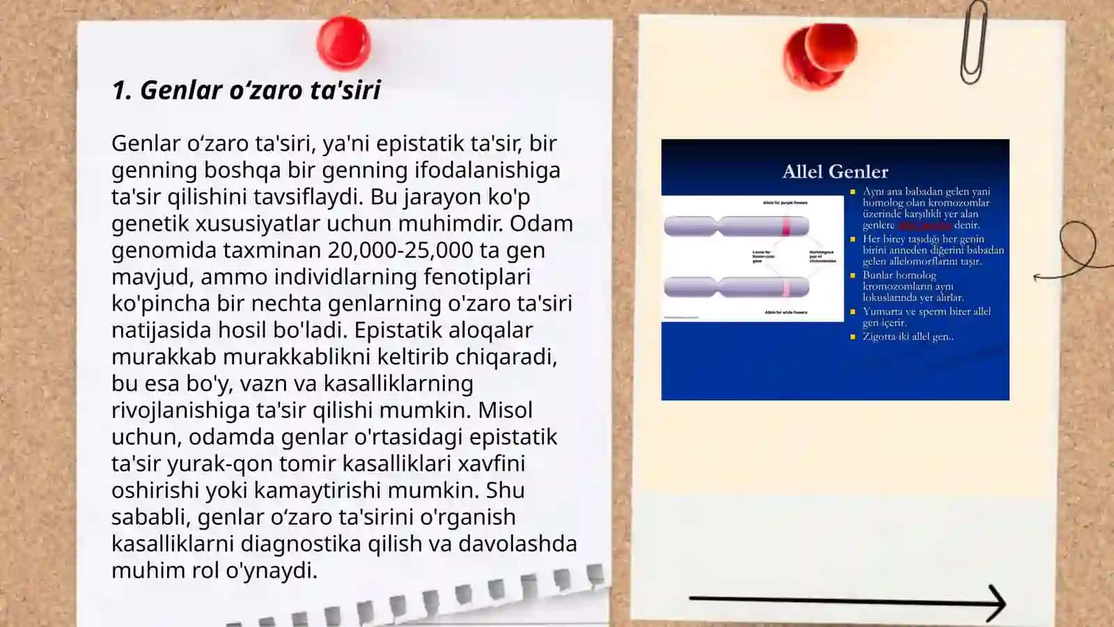 Allel boʻlmagan genlar oʻzaro tasirida epistatik tipda belgilarni irsiylanishi 3