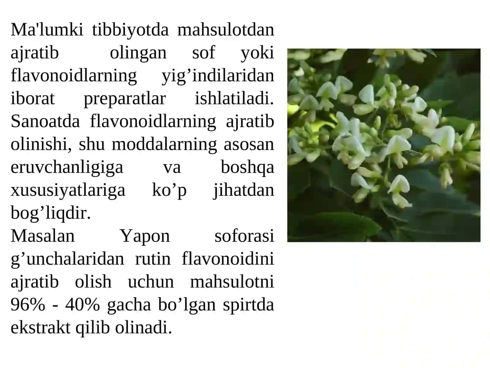 Tarkibida flavonoidlar bo‘lgan dorivor o‘simliklar xom ashyosini standartlash va sertfikatlash 3