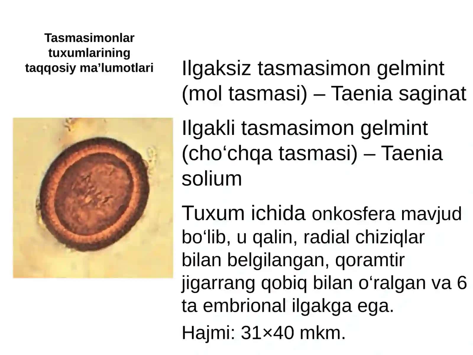 Gelmenttuxumlarinidifferentsiyalash 3