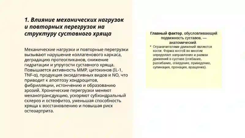 Влияние внешних и внутренних факторов на строение суставов 3