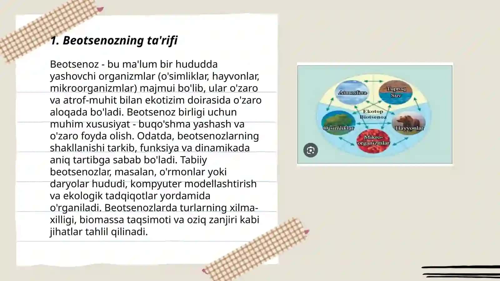 Beotsenoz haqida ma’lumot. Beotsenozning tuzilmasi 3