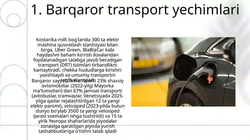 Turistlarga maxsus transport vositalarida xizmat ko‘rsatish 3