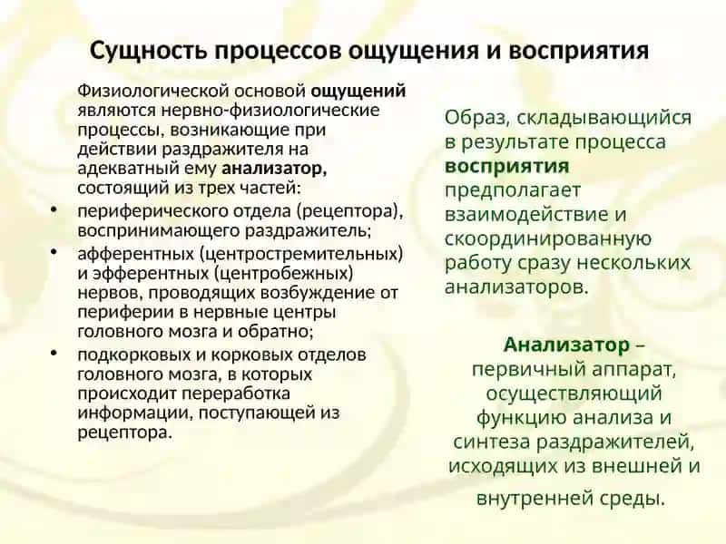 Ощущения восприятие 3