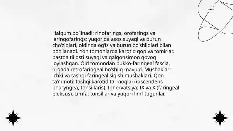 Halqum funksional va topografik anatomiyasi 3