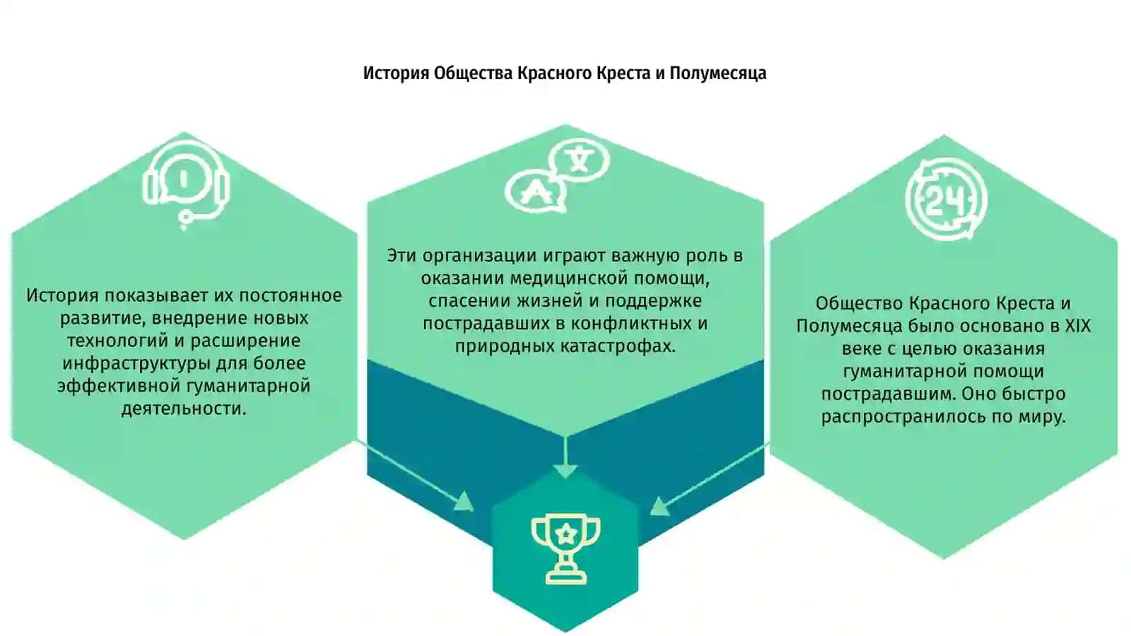 Общество Красного Креста и Полумесяца 3