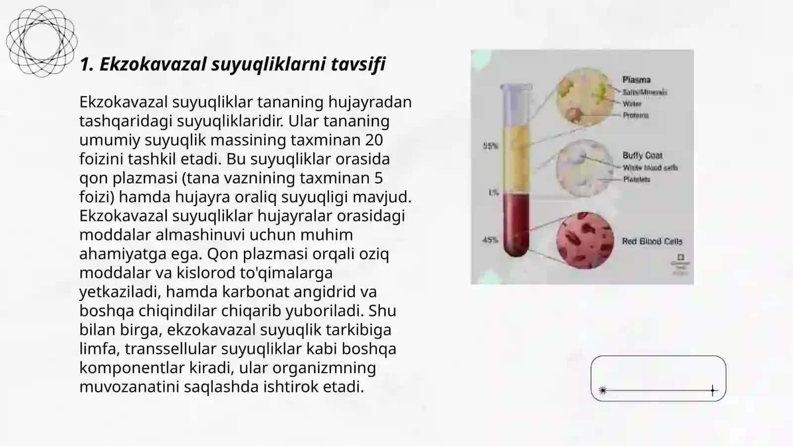 Organizmning ekzkavazal suyuqliklari 3