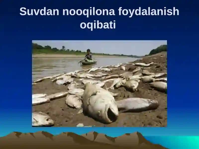 O`ZBЕKISTОNNING TRАNSCHЕGАRАVIY EKОLОGIK MUАMMОLАRI VА ULАRNI HАL ETISH YO`NАLISHIDАGI SА`Y-HАRАKАTLАR 3