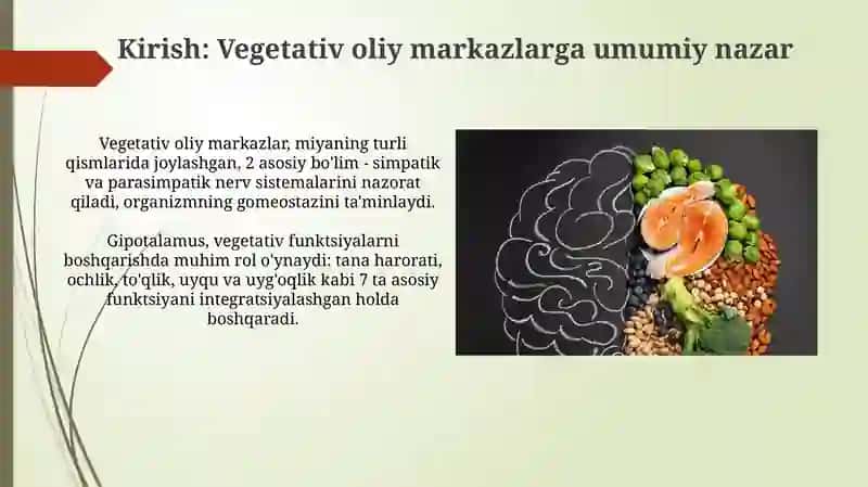 Vegetativ oliy markazlar va ularning funksional ahamiyati 3