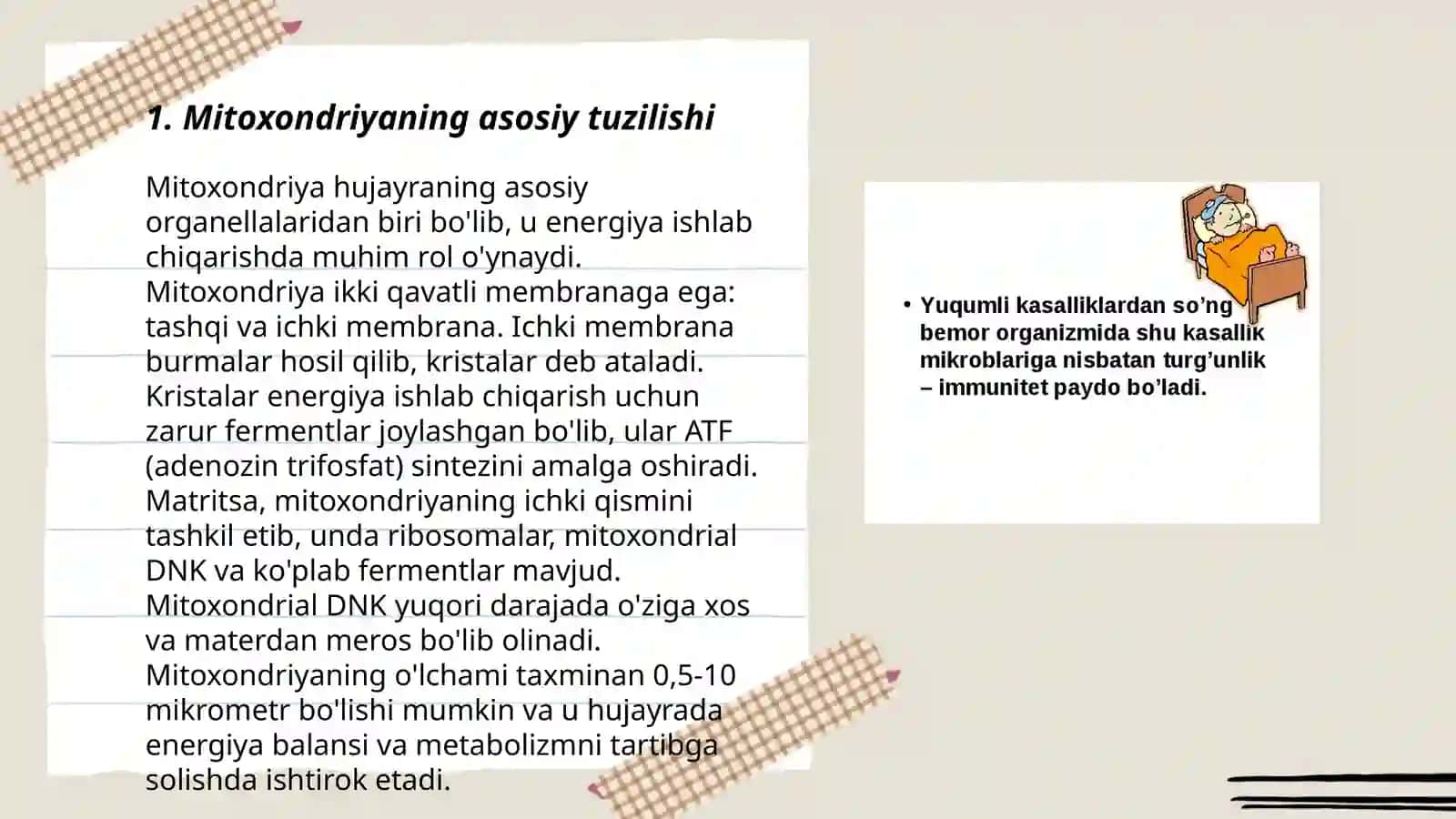 Mitonxondriya tuzilishi, mitoxondrial kasalliklar 3