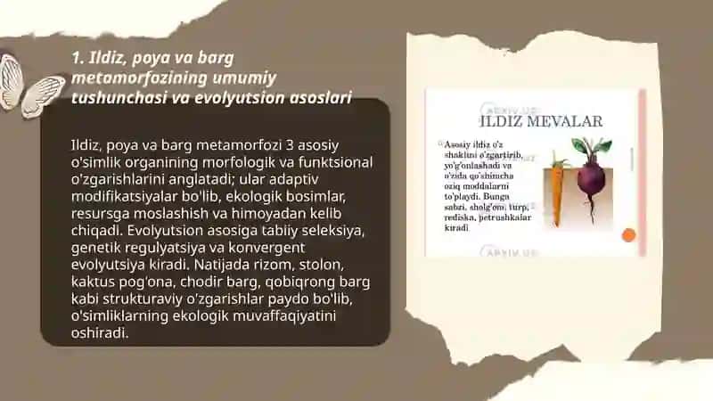 Ildiz poya va barg metamorfozi 3
