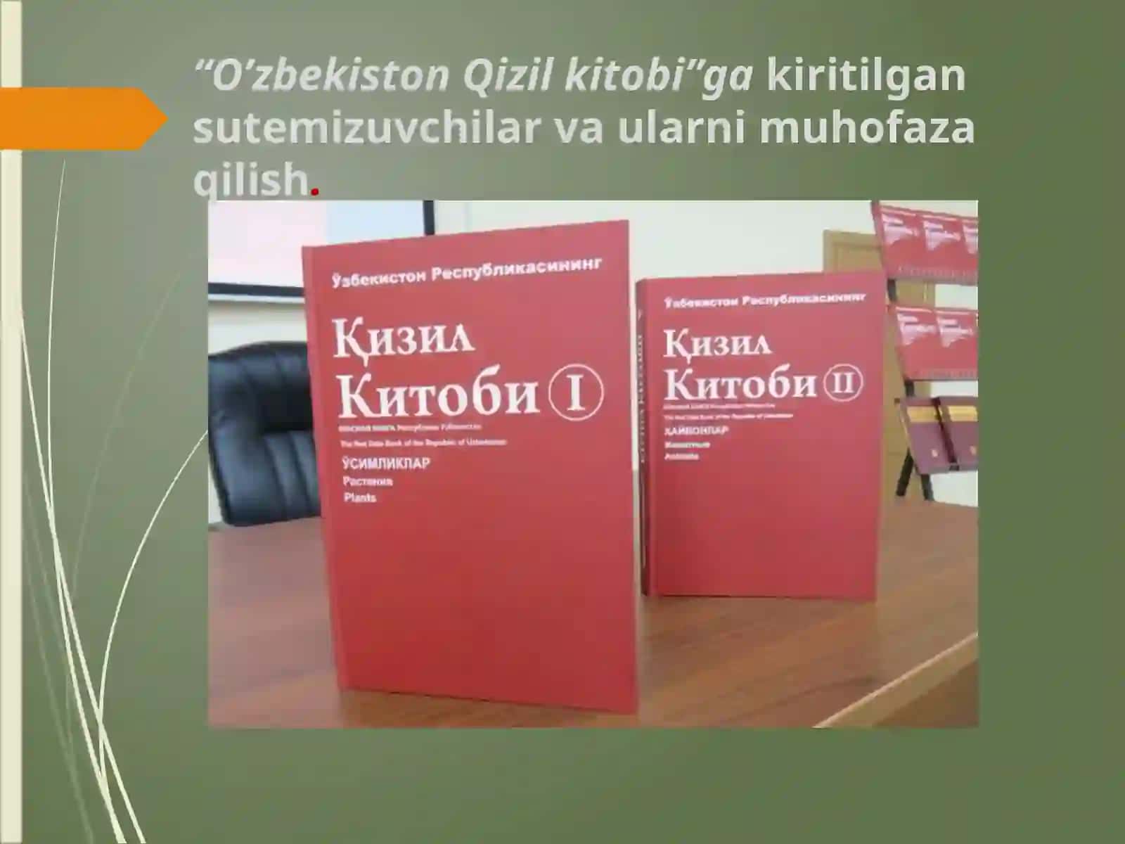 “O’zbekiston Qizil kitobi” ga kiritilgan sut emizuvchilar va ularni muhofaza qilish 3