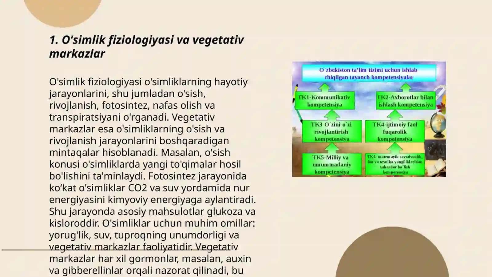 Vegetativ oliy markazlar va ularning funksional ahamiyati 3