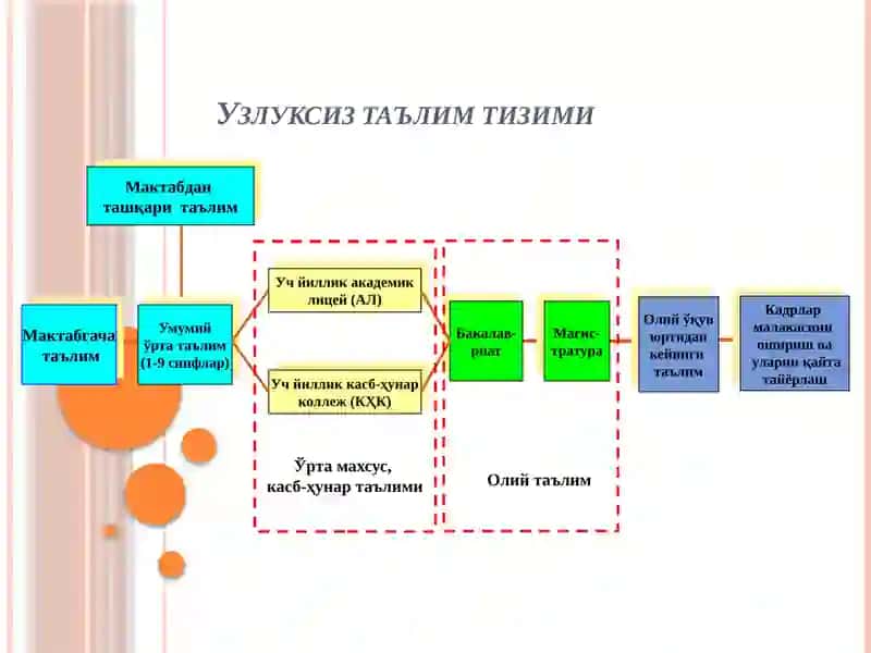 Узлуксиз таълим тизими 3