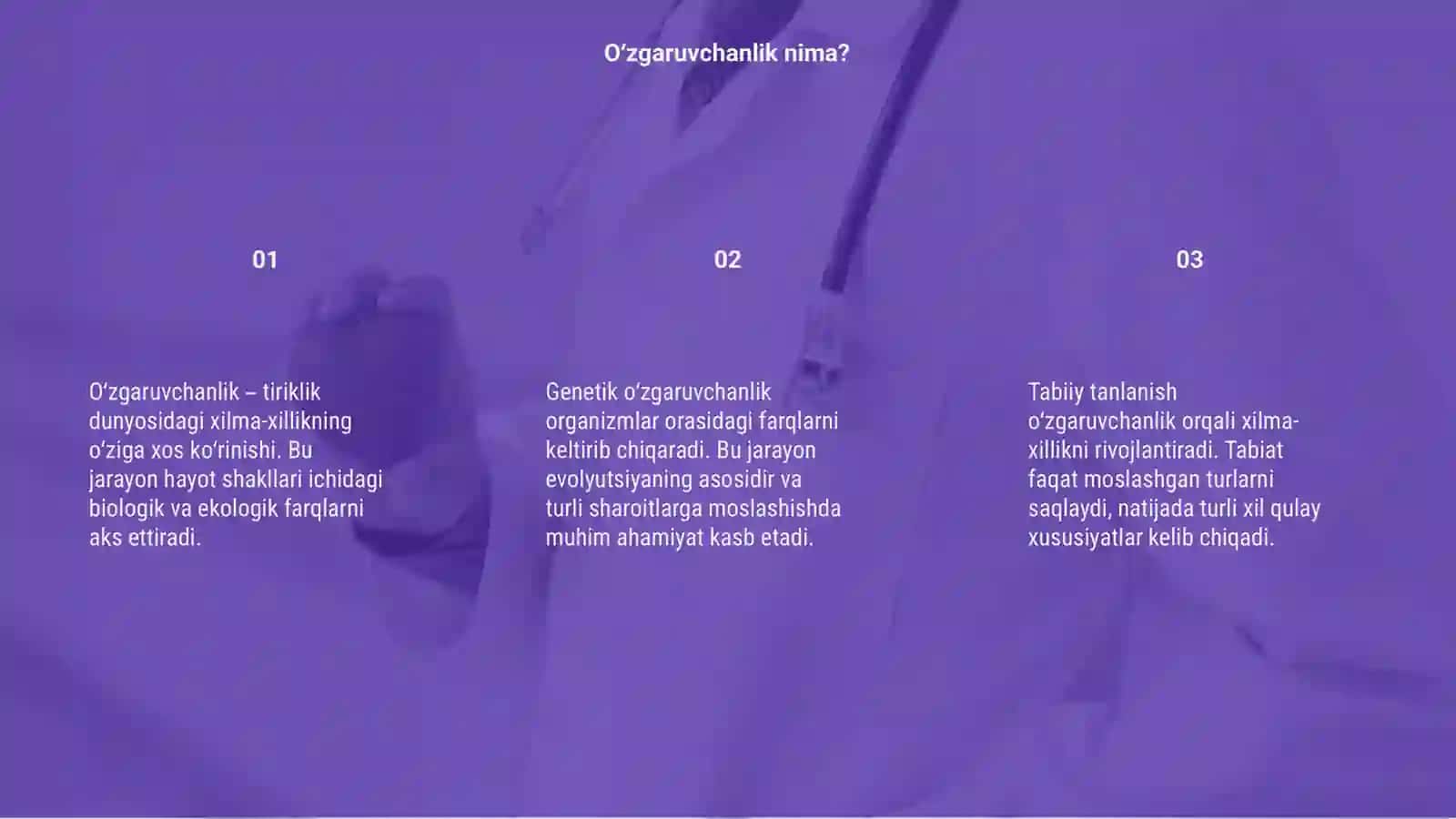 Oʻzgaruvchanlik: xilma-xillikni oʻrganish 3