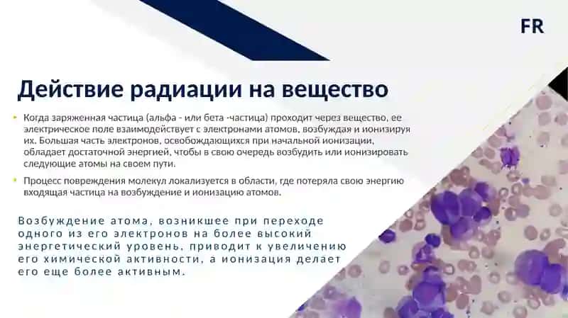 Действие ионизирующих лучей на клетку 3