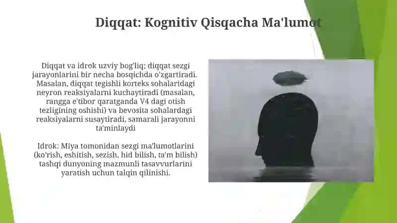 Diqqat va sezgi haqidagi tushuncha uning nerf fiziologik asoslari 3