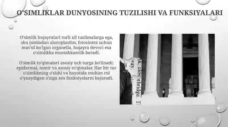 O'simliklar dunyosi va ularning hayot tarzi haqidagi bilimlarni bilib olish va tahlil qilish 3