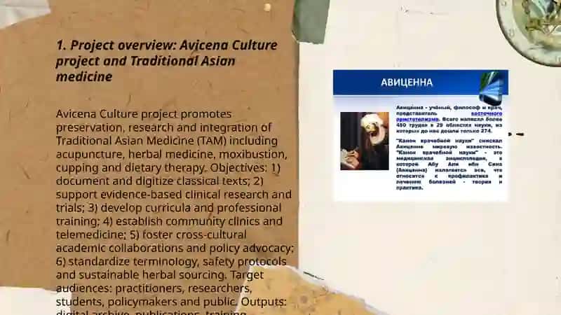 Avicena Culture project 3