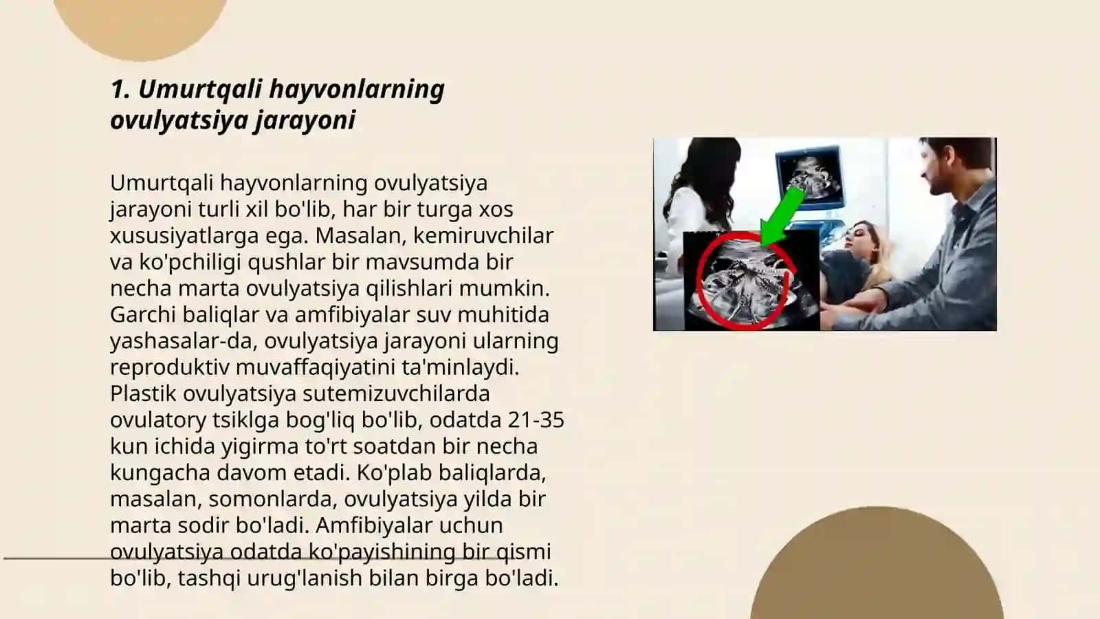 Umurtqali hayvonlarning ko’payishi va rivojlanishi 3