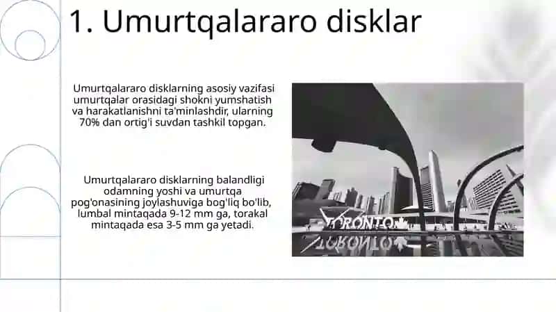 Umurtqalarning umumiy tuzilishi 3