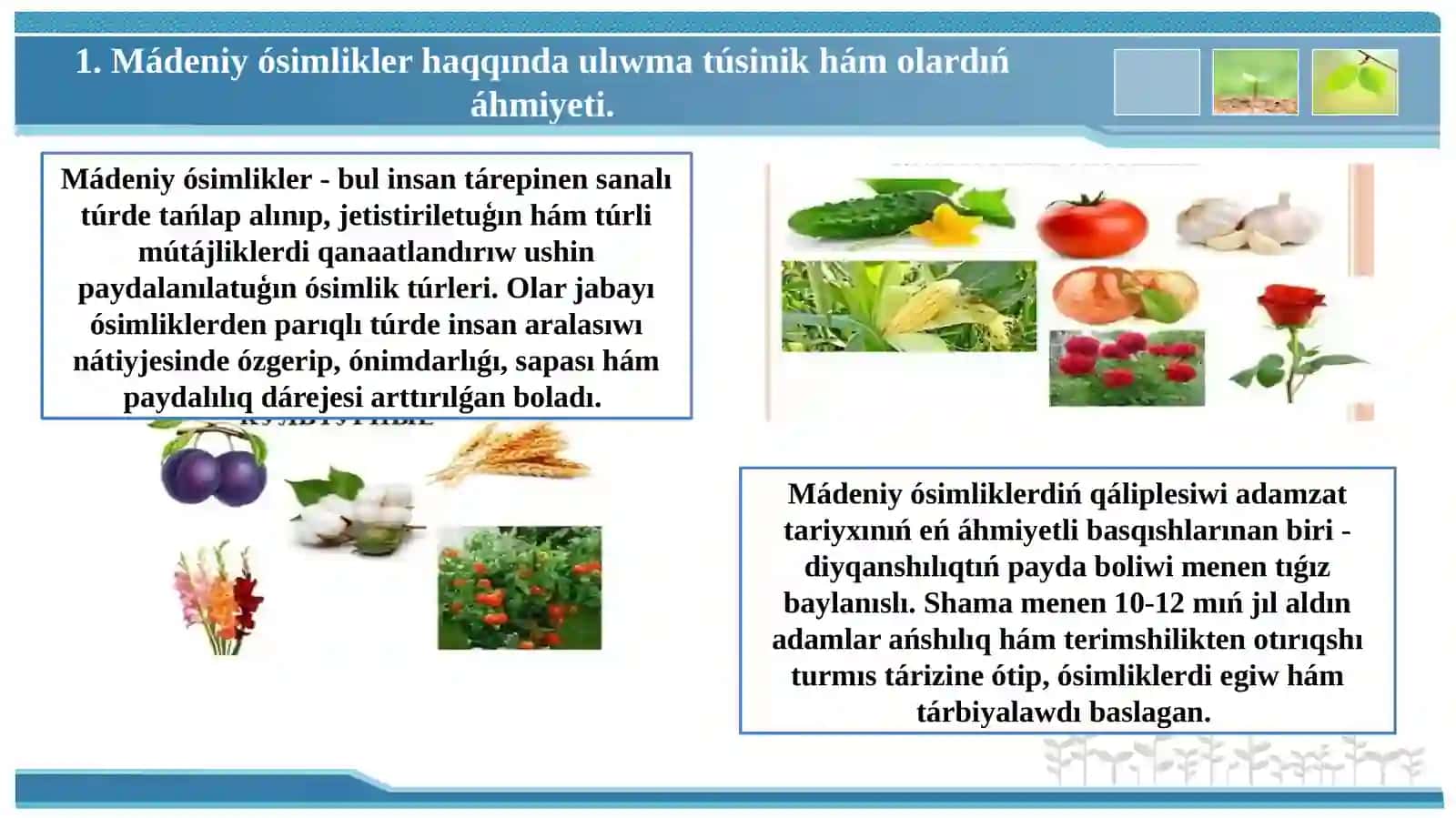 Mádeniy ósimliklerdiń kelip shigiw orayları geografiyası 3