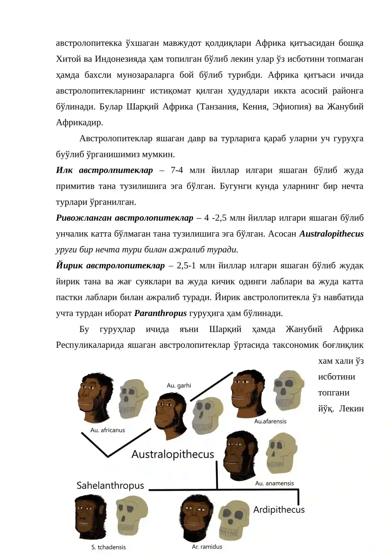 5-6-7 мавзу. Гоминидлар эволюциясининг илк босқичи. Австролопитеклар 3