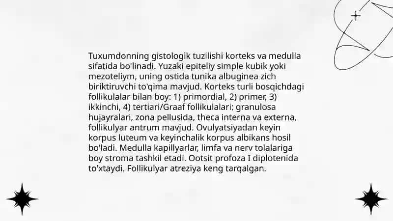 Ayollar reproduktiv sistemasi gistologiyasi 3