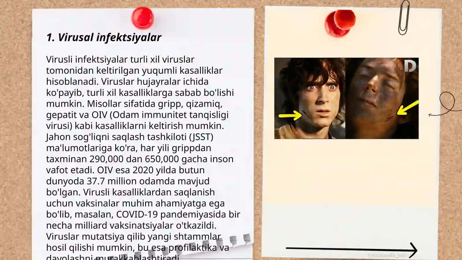 Ensefalit kasalligining kelib chiqish sabablari va asoratlari 3