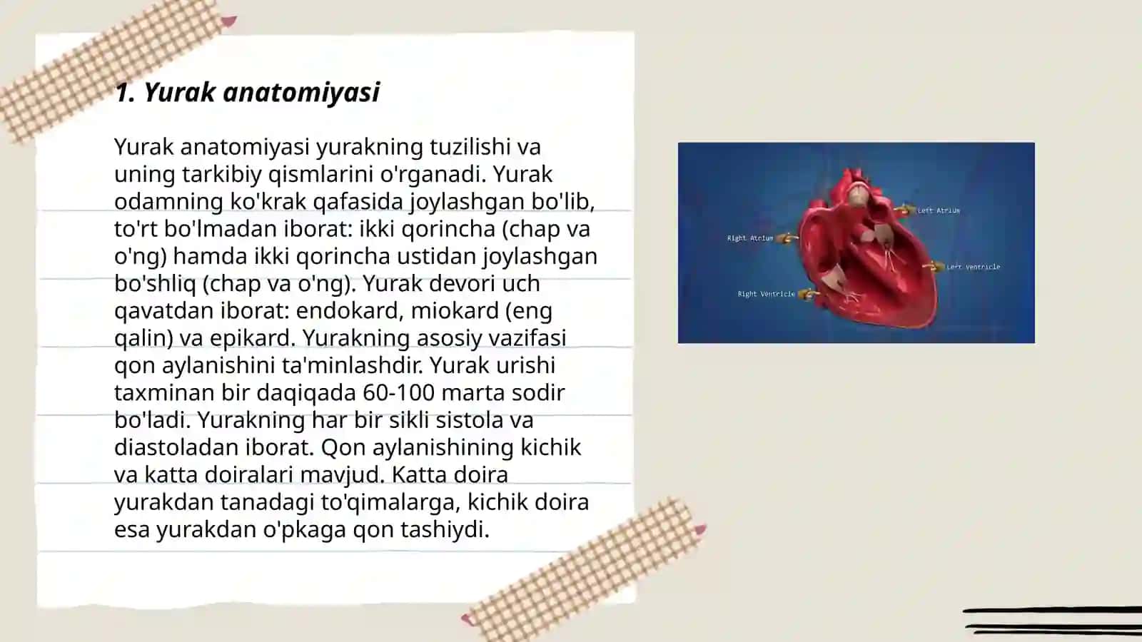 Qon aylanish sistemasi 3