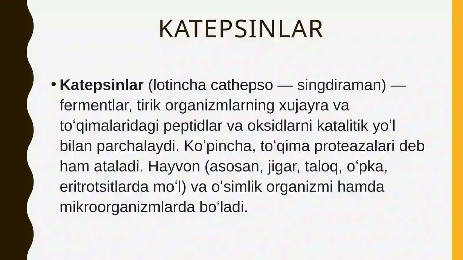 Katepsinlar 3