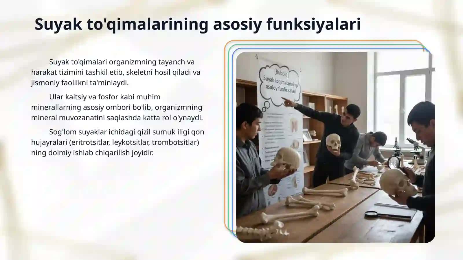 "Suyak to'qimalarining minerallashuvi, uning tartibga solinishi va buzilishlari. Suyak to'qimalarining regeneratsiyasi va transplantatsiya. Suyak o'sishiga ta'sir qiluvchi omillar." 3