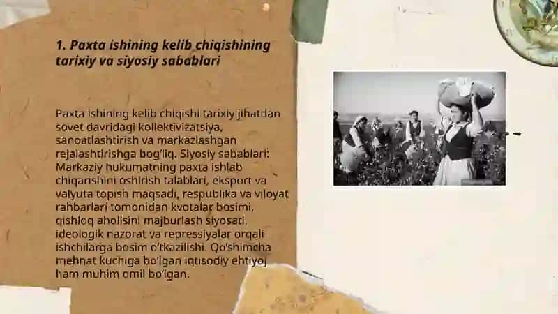 Paxta ishi, "Oʻzbeklar ishi" ning yuzaga kelishi va uning oqibatlari 3