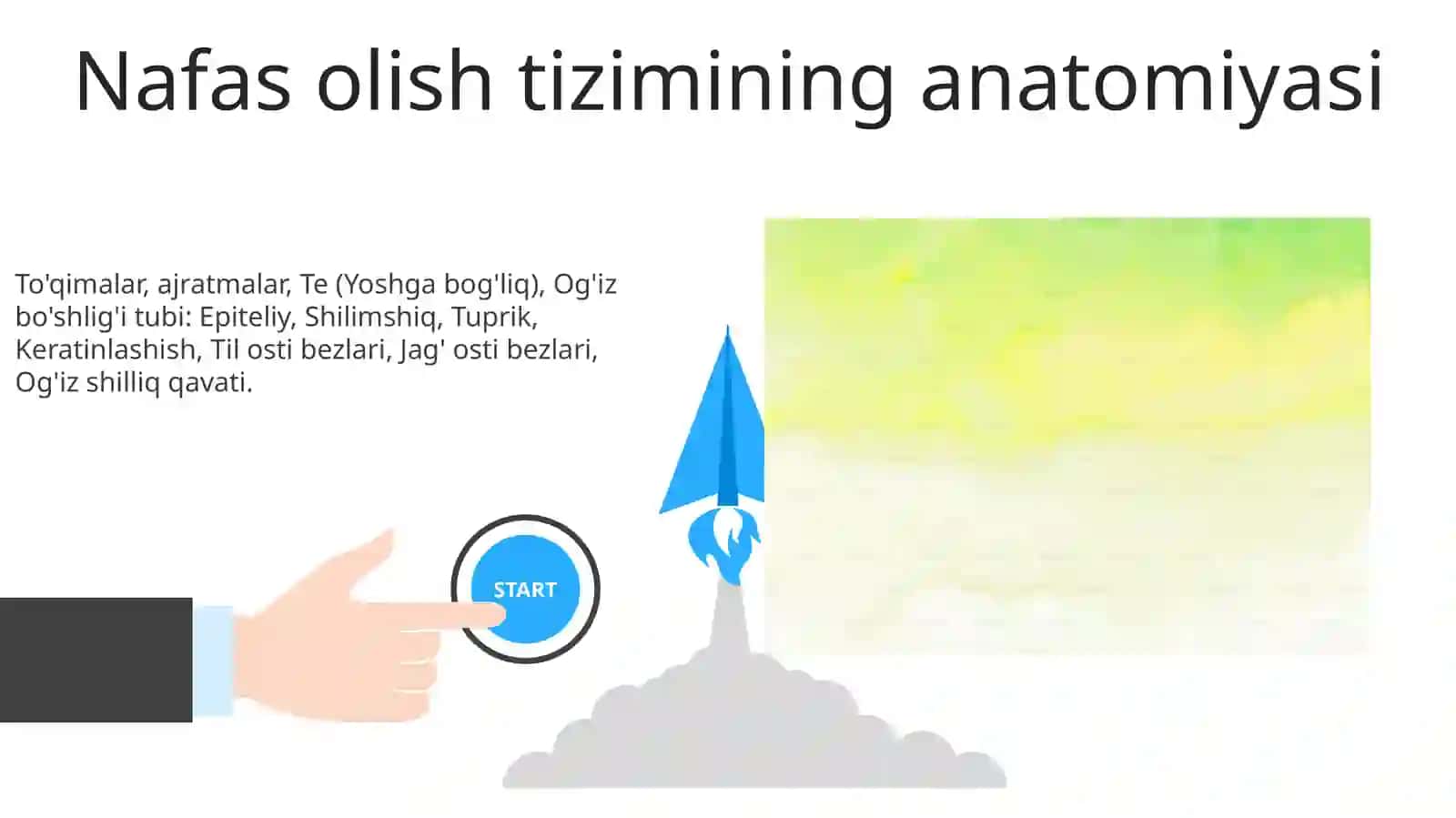 Nafas olish va yuqori qismga tegishli terminlarni tuzish 3