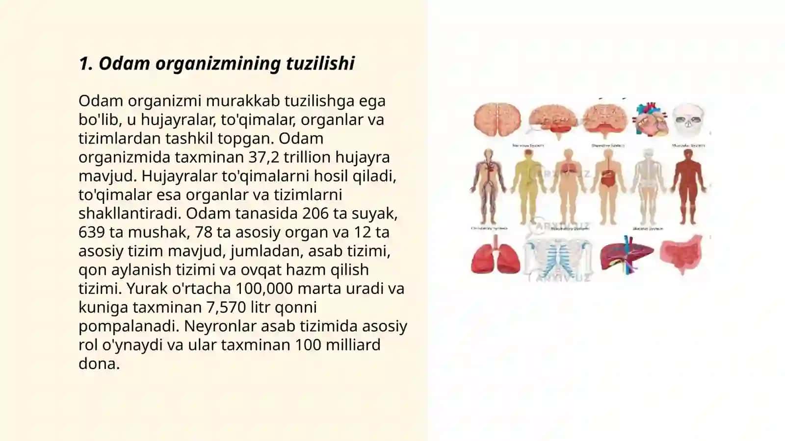 Odaml va uning salomatligi 3