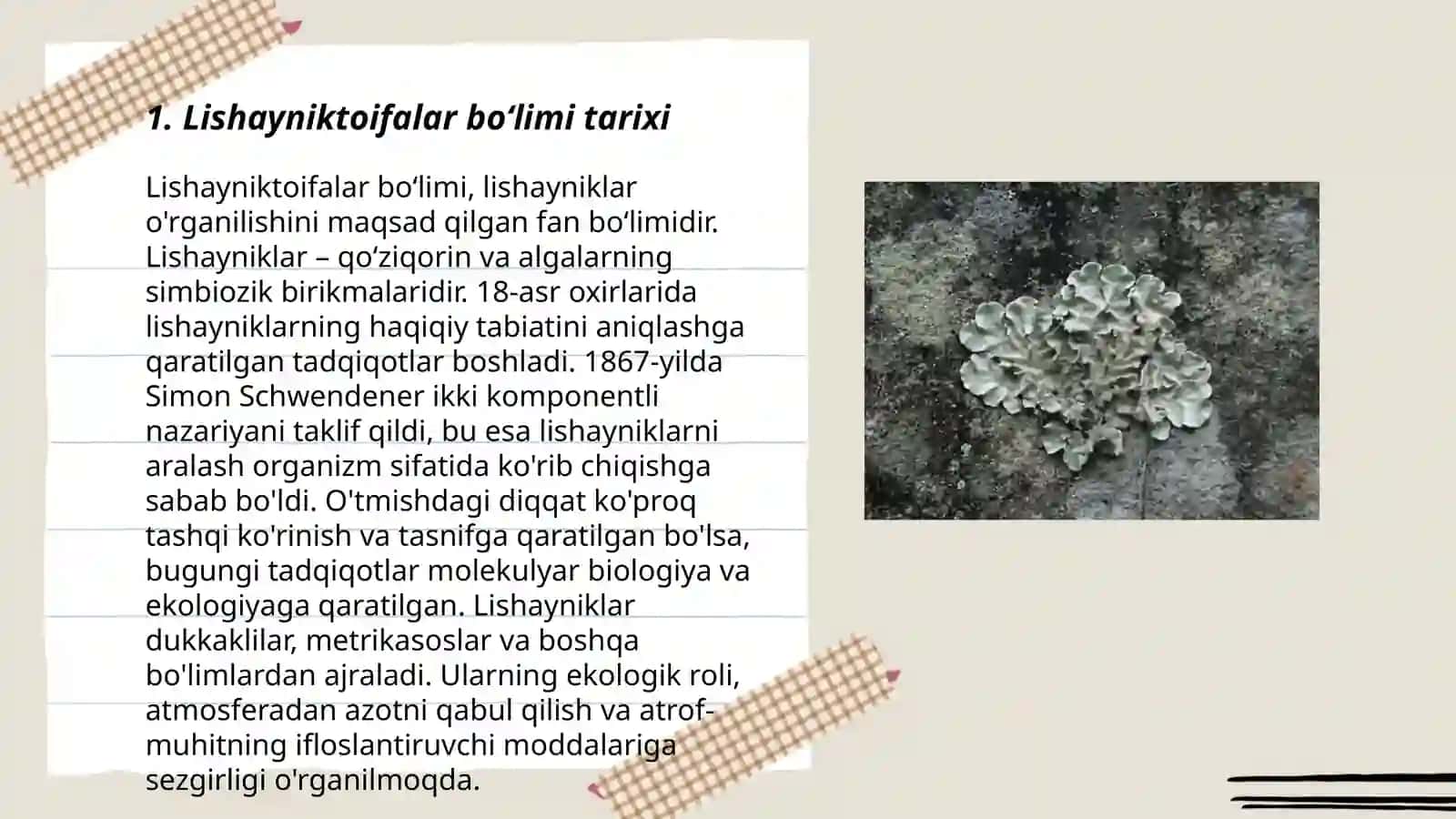 Lishayniktoifalar boʻlimi vakillarini oʻrganish 3
