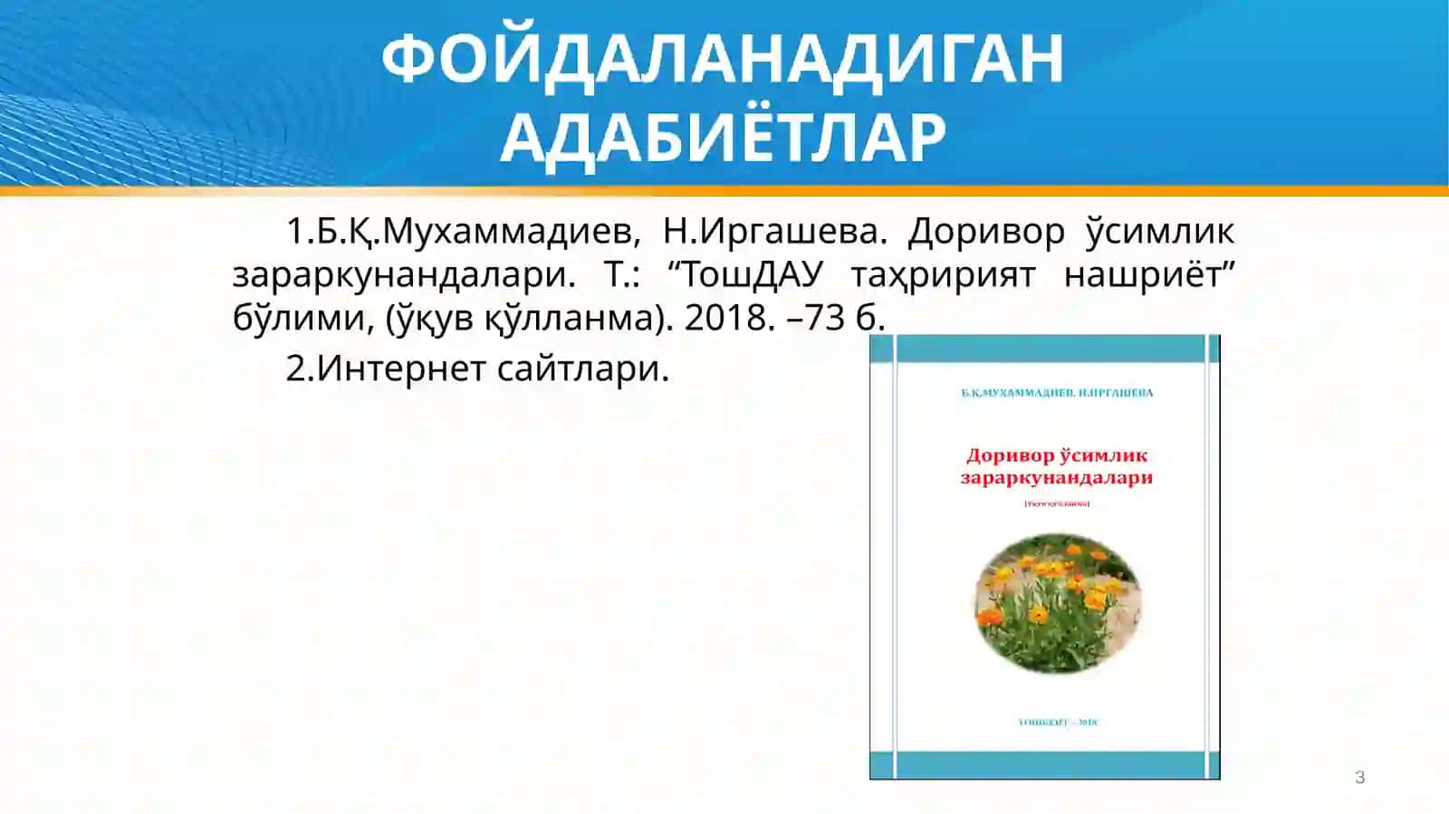 Ҳашаротларнинг морфологияси ва анатомияси 3
