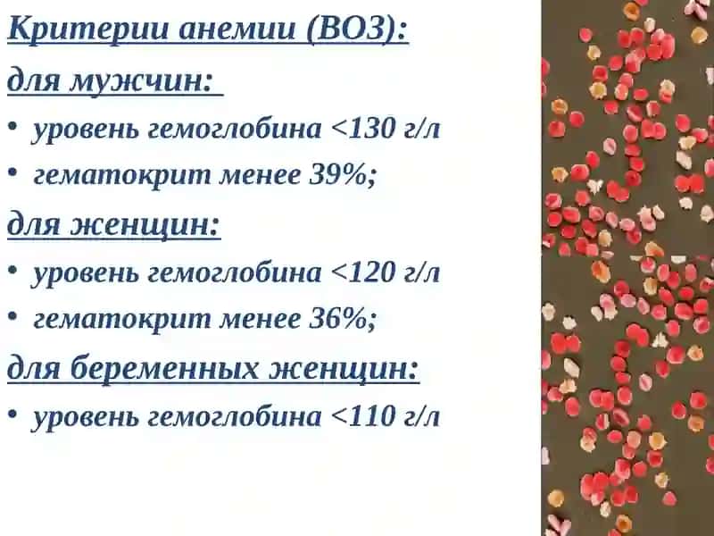 АНЕМИИ, КЛАССИФИКАЦИЯ, ДИАГНОСТИКА И ПРИНЦИПЫ ЛЕЧЕНИЕ 3