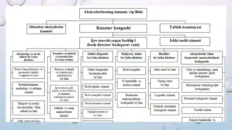 Aksiyadorlikjamiyatlaridaboshqaruvorganlari 3