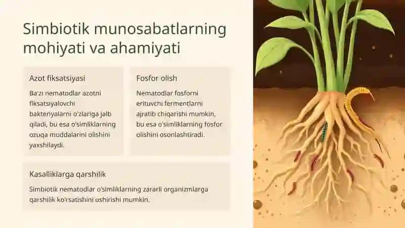 Fitonematodalar o'rtasidagi simbiotik va antogonistik munosabatlar 3