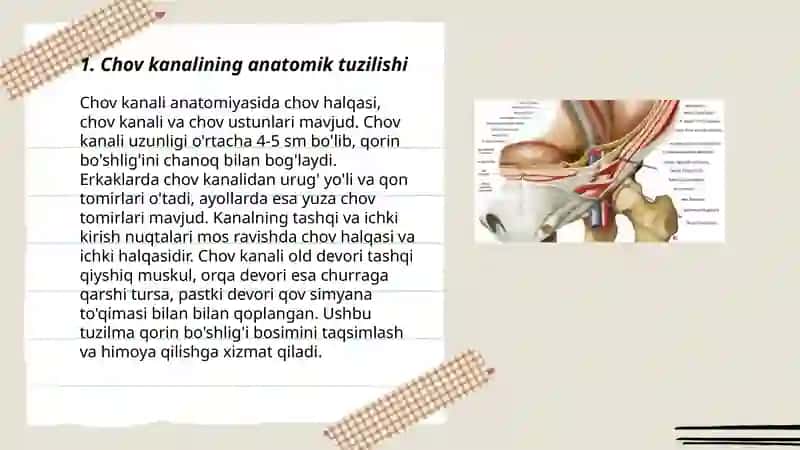 Chov kanalining yosh va jinsga nisbatan xususiyatlari, ichki va tashqi faktorlarini hosil bo'lishiga ta'siri 3