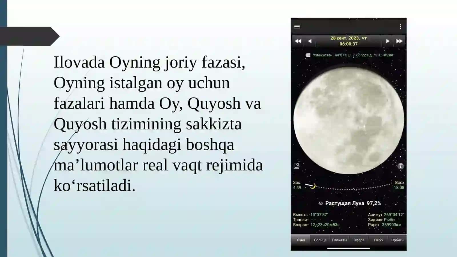 Daff Moon 3