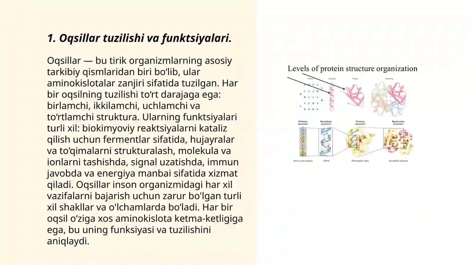 Oqsillarni funksional xossalari va boshqarish usullari 3