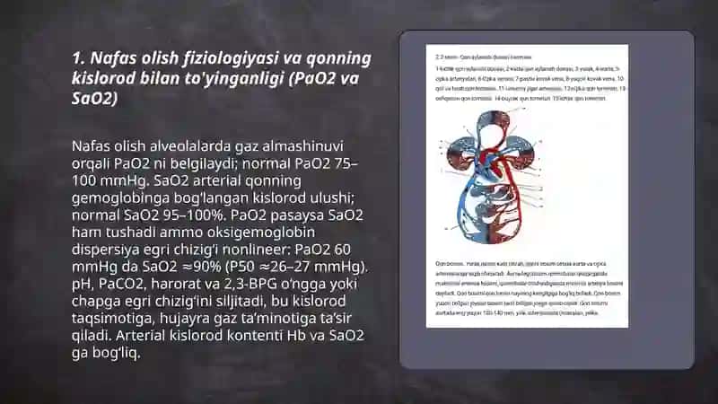 Nafas olish fiziologiyasining qon aylnaish tizimiga ta'siri 3