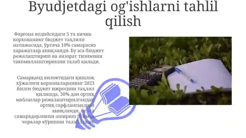Byudjet nazoratining shakllari 3