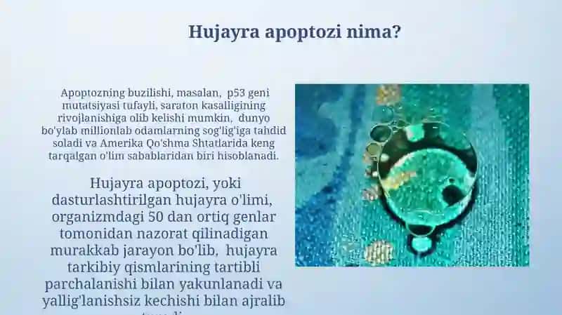 Hujayra apoptozi va uning biologik ahamiyati jarayonining boshqariluvi 3