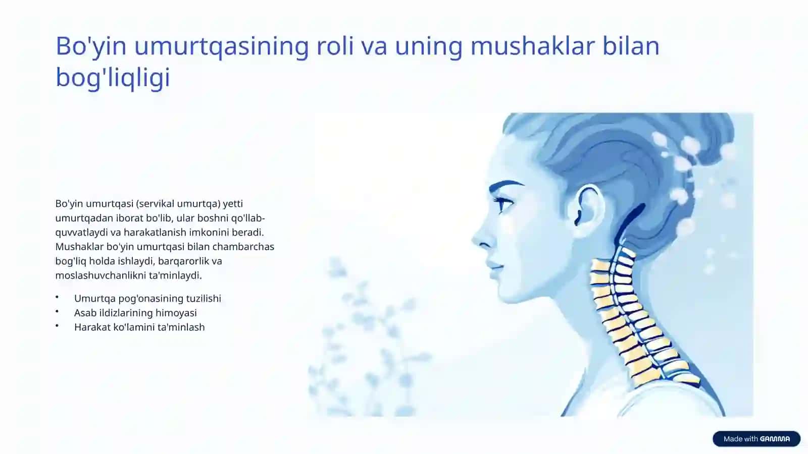 Bo'yin mushaklari fiziologiyasi: Keng qamrovli tushunish 3