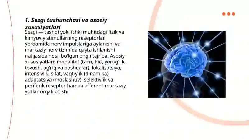 Sezgi haqida tushuncha va uning nerv-fiziologik asoslari 3