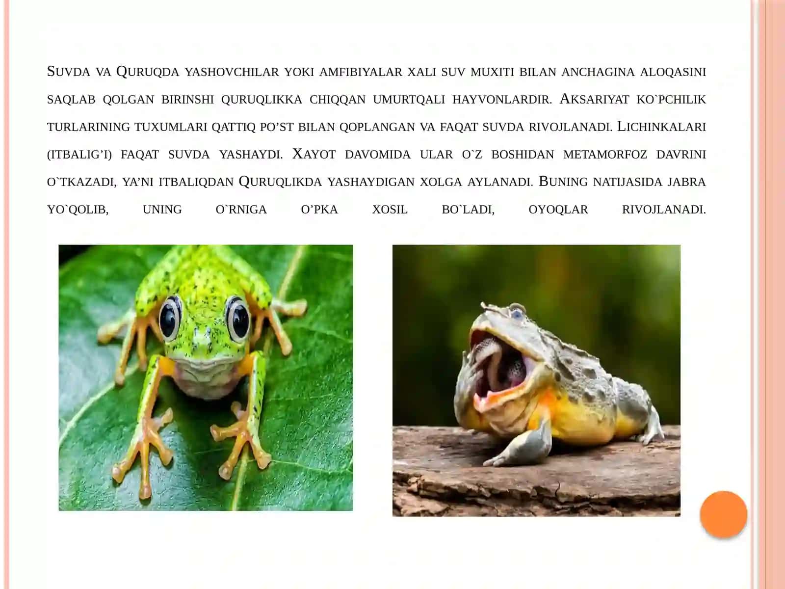 SUVDAHAM QURUQDA YASHOVCHILAR QURUQLIKKA CHIQISH SABABLARI VA MOSLANISH XUSUSIYATLARI 3